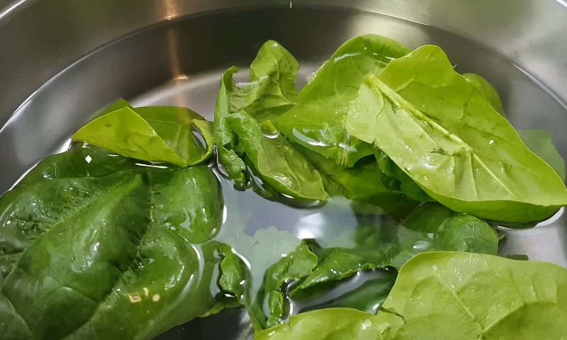 Spanać u posudi sa vodom